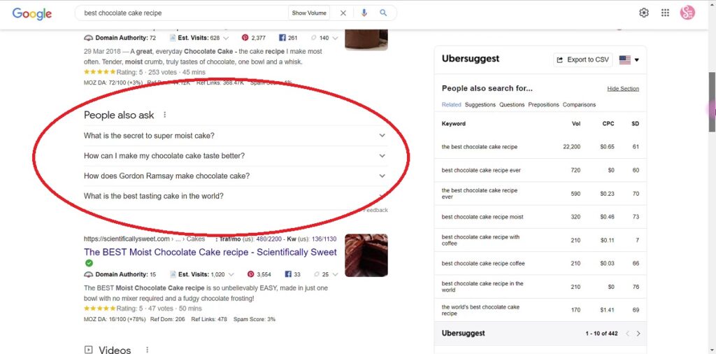 Screenshot of the "People also ask" section of the Google search results.
